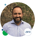 WSI Stylized Image - Diego Izurieta